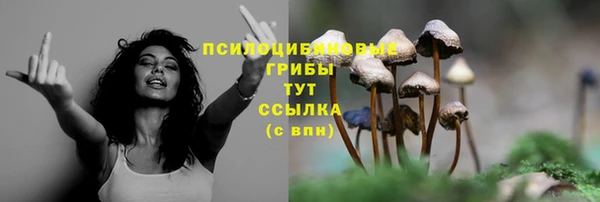 а пвп мука Елизово
