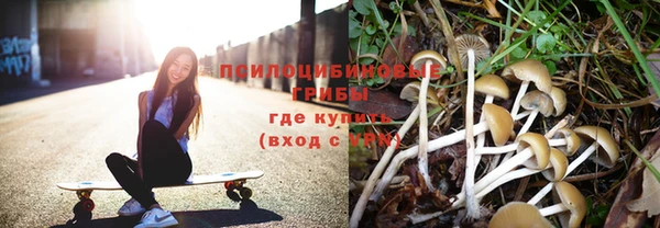 спиды Дмитровск